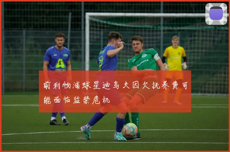 前利物浦球星迪乌夫因欠抚养费可能面临监禁危机